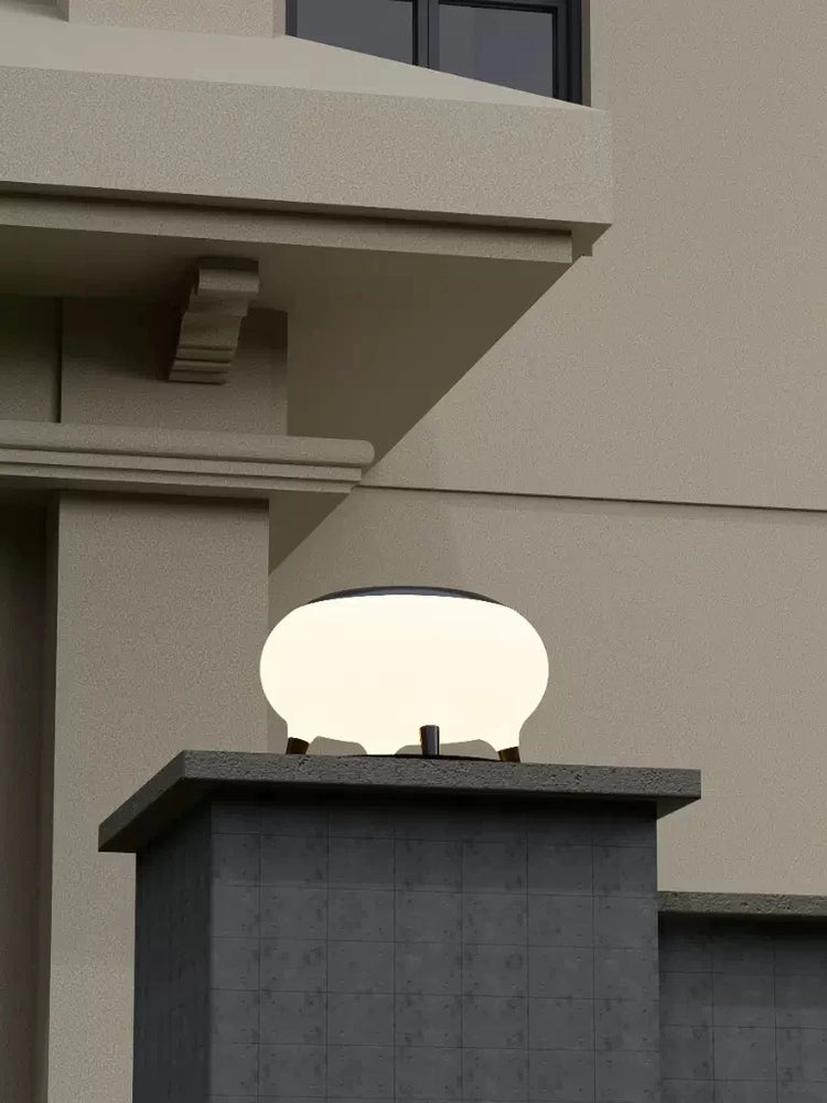 Solar garden lights on green grass, charging under direct sunlight