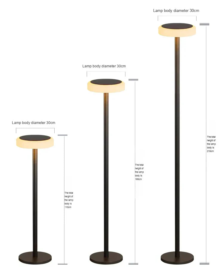 Minimalist outdoor decor with a disc floor lamp . 3 sizes.
