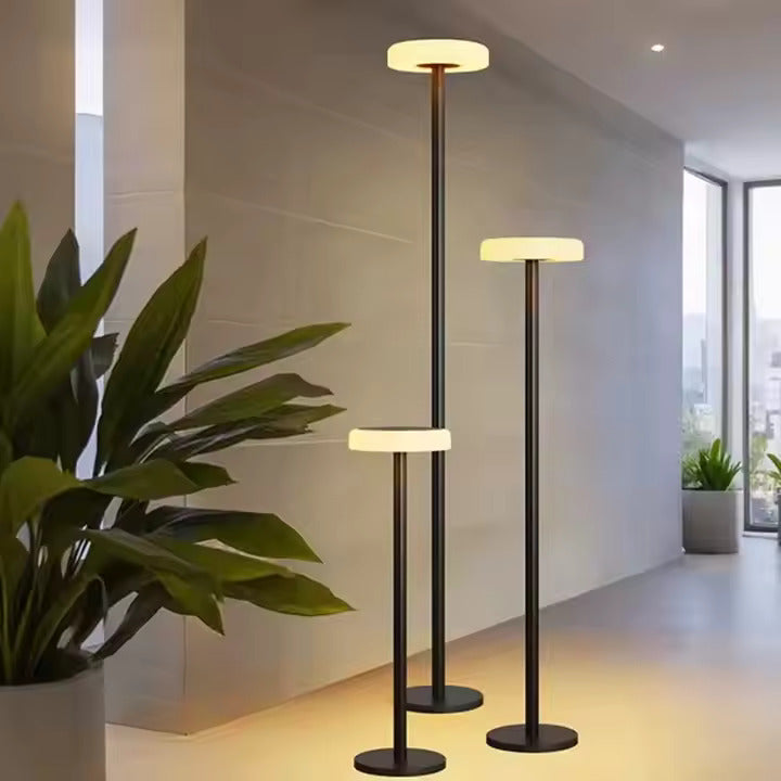 Aluminum body solar floor lamp with modern design