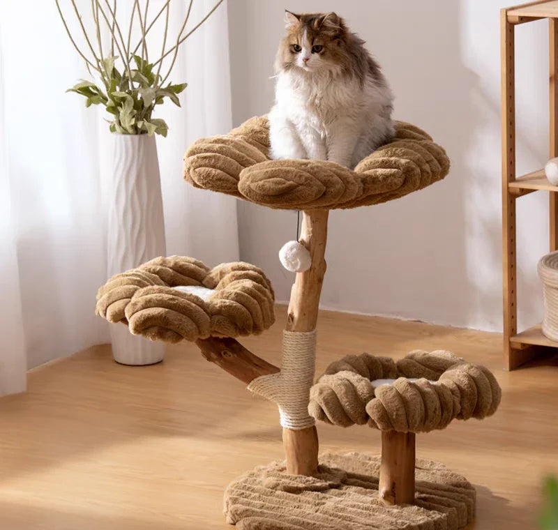 Pets accessories