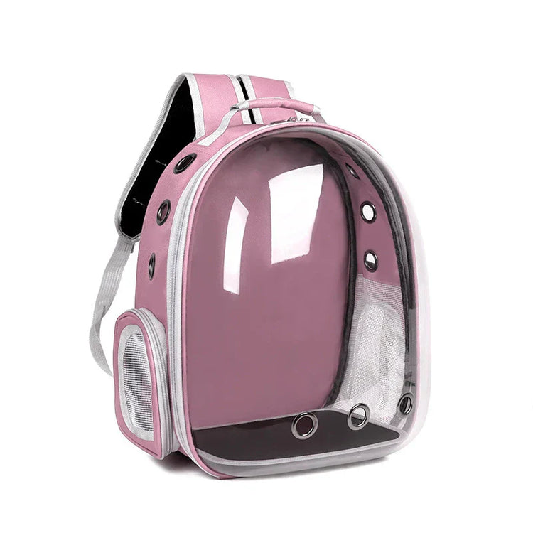 Transparent cat backpack Close-up of space capsule pet bag with ergonomic straps