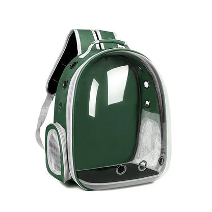Cat enjoying scenery inside clear capsule pet carrier