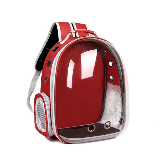 Transparent cat backpack with panoramic capsule view