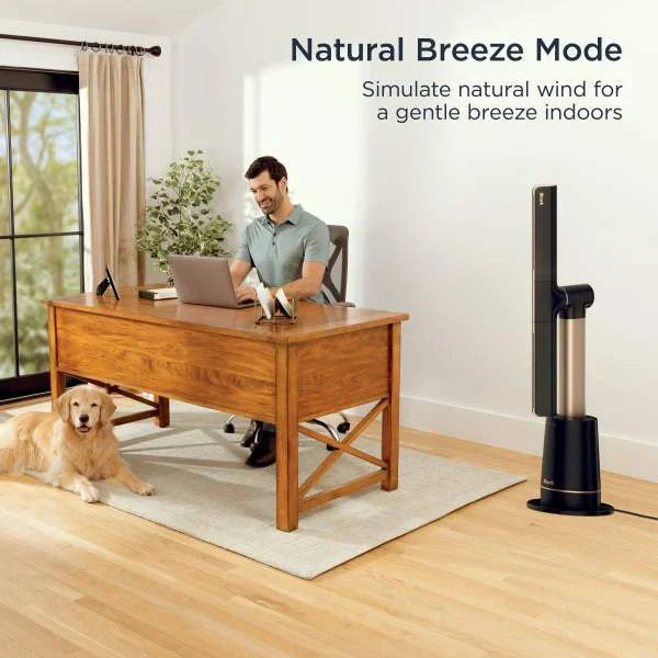 2. Shark TurboBlade XL cooling a living room
