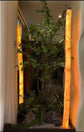 Birch logs decor with LED lights for stylish indoor and outdoor spaces.