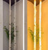 Our birch logs decor is perfect for both indoor and outdoor spaces. 